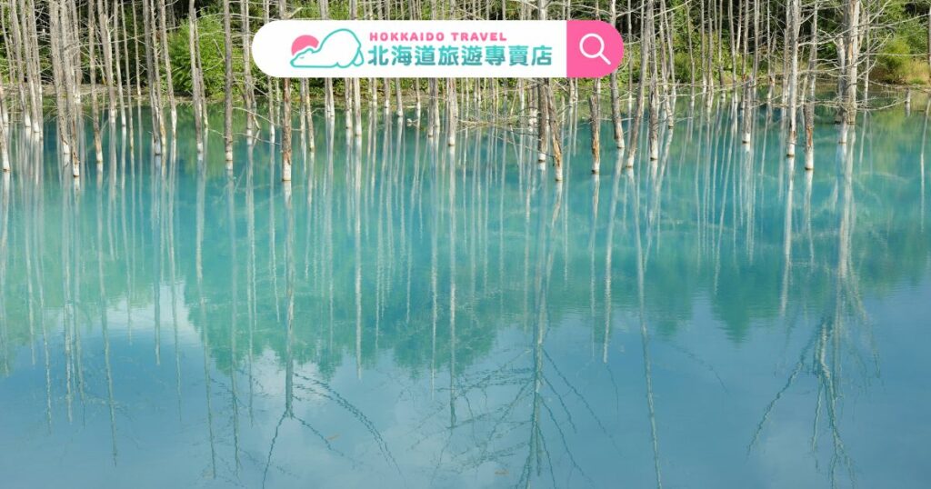 白金青池