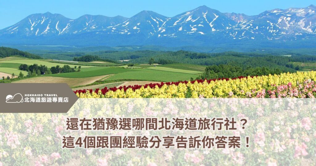 這張圖片展示了北海道的迷人自然景觀，大片的花田與遠處的山脈交織，呈現出一幅色彩繽紛的畫面。花田中盛開的鮮花，色彩鮮艷，與青翠的草地及雪山背景相得益彰。這種景色完美地表現了北海道的自然美景，讓每個遊客都能感受到這個地方的獨特魅力。