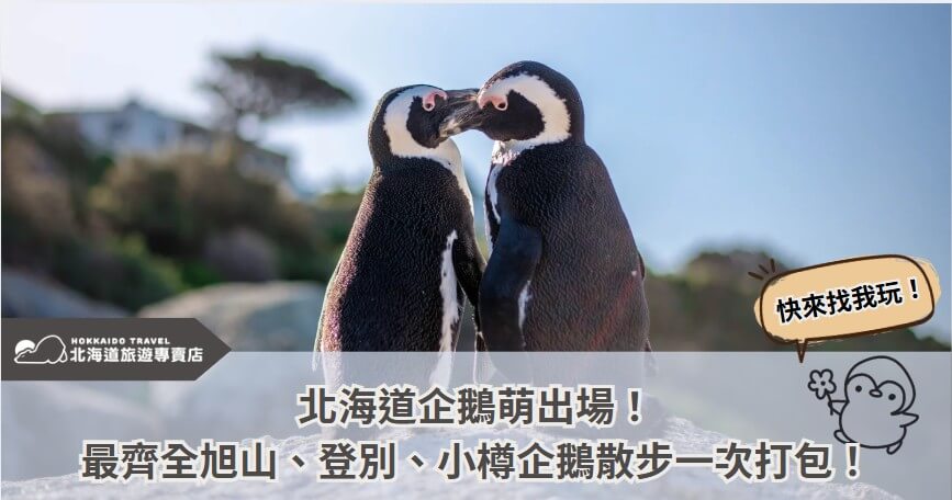 你能想像，每天都有一群自帶排場的小胖子在散步嗎？沒錯，說的正是「北海道企鵝」！不論你是動物控、親子旅遊規劃者，還是單純被療癒吸引的旅人，企鵝散步秀，你絕對不能錯過！北海道旅遊專賣店一次打包旭山動物園、登別尼克斯海洋公園、小樽水族館等人氣景點，帶你搞懂北海道企鵝到底在紅什麼！