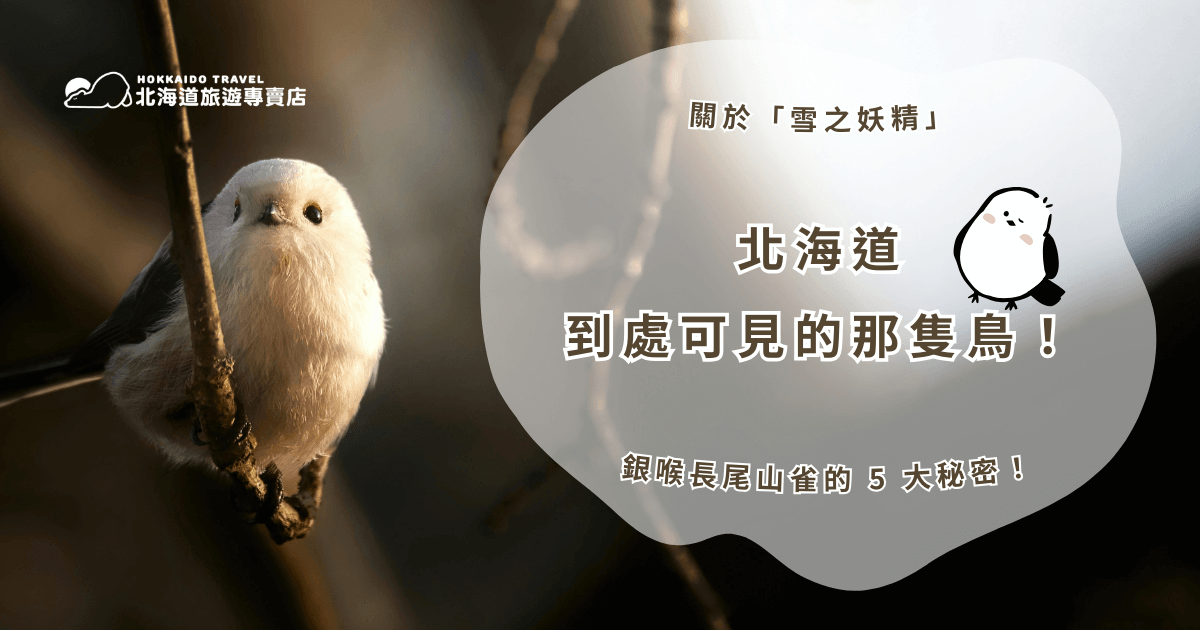 你是不是也好奇很久，從機場紀念品店、商圈吊飾到插畫周邊，北海道那隻白色的鳥，幾乎無處不在？牠圓滾滾的身形、雪白的羽毛、靈巧的模樣，總能輕易抓住旅人的目光，讓人忍不住停下腳步多看幾眼。牠，就是被暱稱為「雪之妖精」的銀喉長尾山雀！這隻雪球鳥究竟有什麼特別之處？為什麼能從商品上延伸成全民喜愛的自然明星？北海道旅遊專賣店今天就要揭露北海道那隻鳥的 6 大秘密，一次認識銀喉長尾山雀！