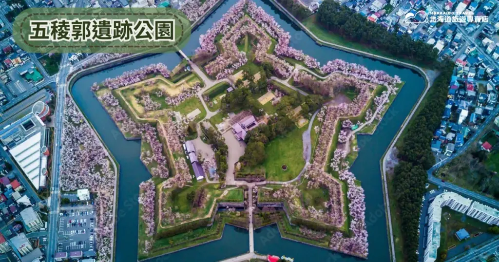 該圖片呈現日本北海道函館市的五稜郭遺跡公園（Goryokaku Park）空拍景象。整座公園呈現五角星形的西式城郭結構，外圍環繞護城河，沿著城郭邊緣種植大量櫻花樹，春季時粉色櫻花沿著星形輪廓綻放，形成壯觀的幾何花海。畫面中央可見綠地與歷史建築遺跡，周圍則是函館市區街道與住宅區。整體景觀結合歷史遺址與櫻花季景色，展現北海道賞櫻季節中極具代表性的地標景點。