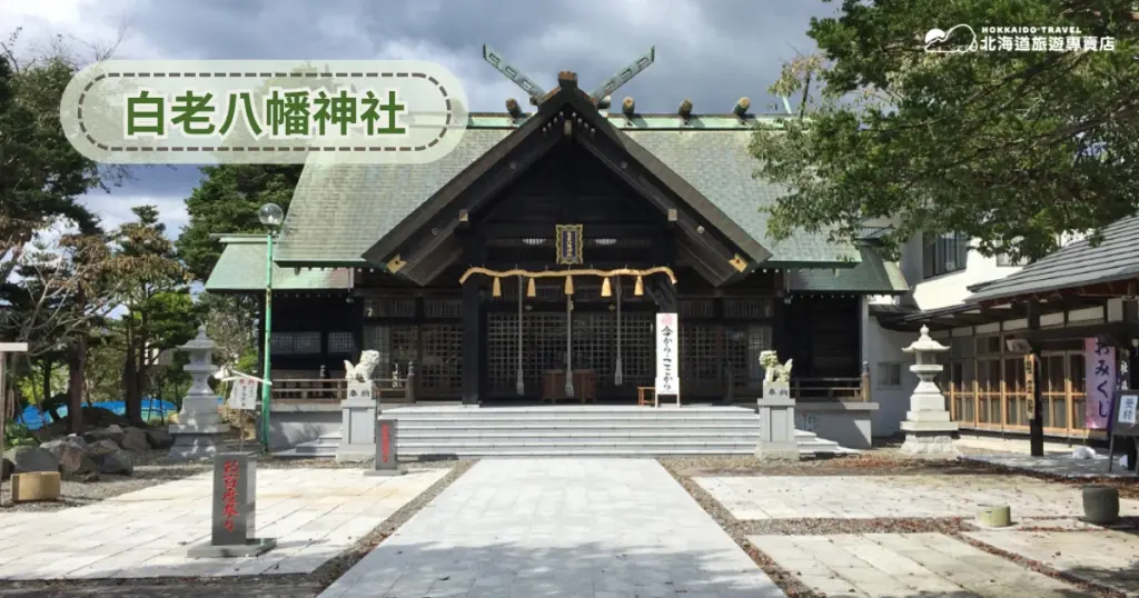 畫面拍攝北海道白老町的白老八幡神社正面全景，前方鋪設石階通往神社，左右有石獅與燈籠裝飾。左上角半透明灰色框標示「白老八幡神社」，右上角附北海道旅遊專賣店標誌，呈現文化景點與旅遊氛圍。