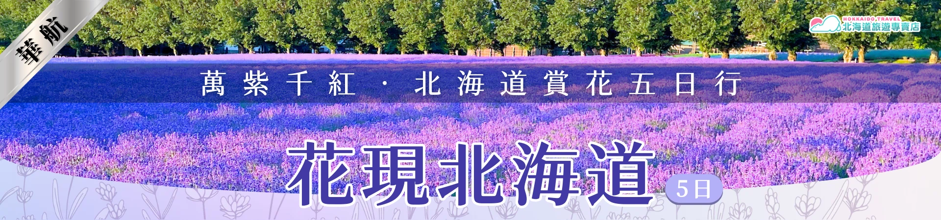 該圖片為北海道薰衣草花海主題的橫幅設計，畫面中紫色薰衣草整齊排列延伸至遠方，與後方綠色樹林及藍天形成鮮明對比。中央透明橫幅標示「萬紫千紅．北海道賞花五日行」，下方以大型字體呈現「花現北海道5日」。左上角標示「華航」，右上角為北海道旅遊專賣店標誌，整體畫面傳達北海道夏季花田景觀與賞花旅遊的主題。