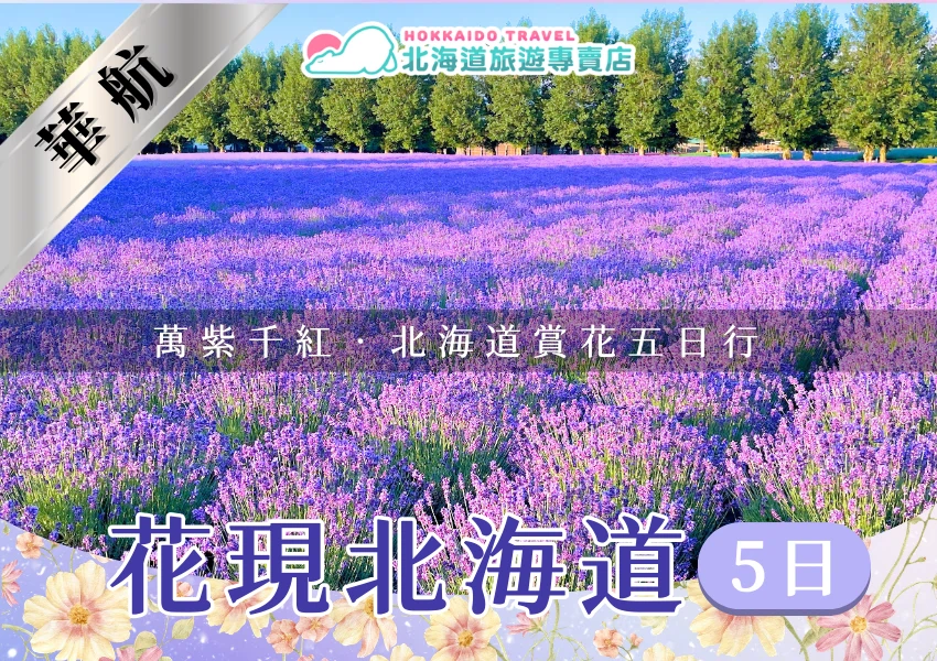 該圖片呈現北海道夏季盛開的薰衣草花田景觀，大片紫色薰衣草沿著田野整齊延展，形成一望無際的花海，遠方是一排綠色樹林與晴朗藍天。畫面上方標示「萬紫千紅．北海道賞花五日行」，左上角以銀色緞帶標示「華航」，下方以醒目的文字呈現「花現北海道5日」。整體畫面以薰衣草花海為主體，呈現北海道夏季賞花旅遊的季節氛圍與行程特色。