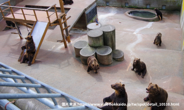 昭和新山熊牧場