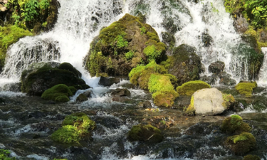 真狩村・羊蹄山名水公園